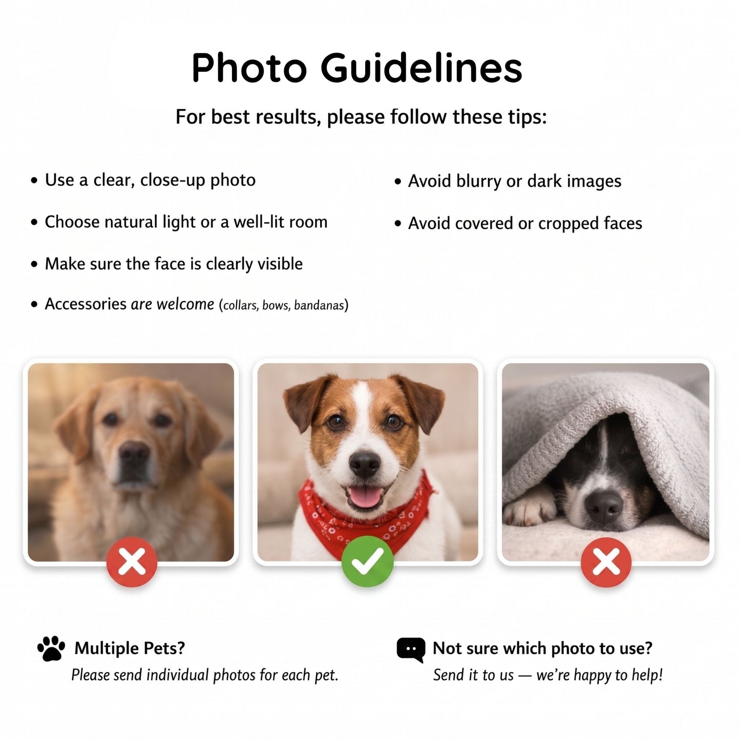 Custom Pet Photo Mug